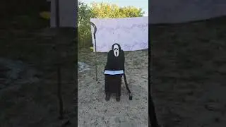 #amostradinho