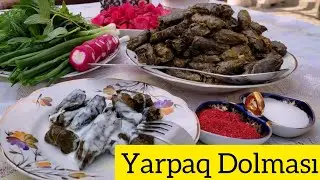 Fərqli Yarpaq Dolması