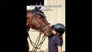 #horse