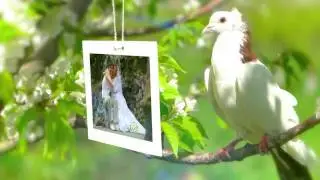 Поздравление с Днем Свадьбы!