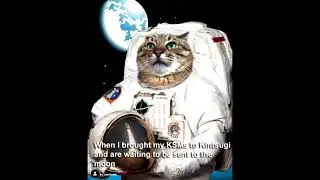 Знакомство с Interlay interBTC & Kintsugi. Разбор Whitepaper.