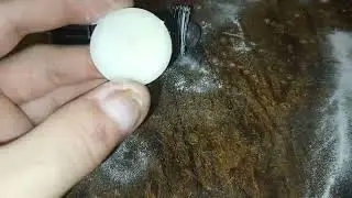 Огнетушитель порошковый ОП-1. Устройство.