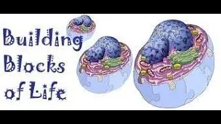 EVERYTHING You Need to Know About Cells: What ALL Living Things are Made from. SC 6-LS1-1