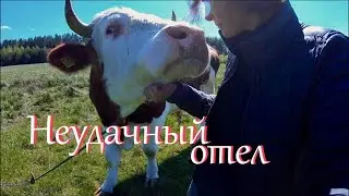 Иду помогать Риме на Зеленый хутор. Доделала дверь