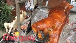 ĐẶC SẢN( CHÓ QUAY )NGUYÊN CON LẠNG SƠN DA GIÒN NHƯ BÁNH ĐA GIÒN TAN KHÔNG CƯỠNG NỔI