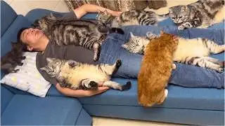 It's the Cutest Thing Ever When Cats Curl Up on Their Humans