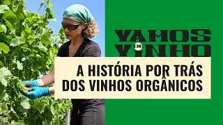 Vinhos naturais: entenda qual o processo para a preparação e o que o faz diferente