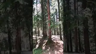 PLANINA ZLATAR /avgust 2021/ 🌲⛰ 🌏 💚👋