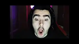 СТРЕЙ ОСУЖДАЕТ САМ СЕБЯ! stray228