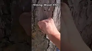 Hitting Wood ×100 Be Like... #shorts #minecraft