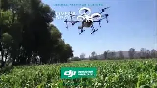 Drones para fumigar en México