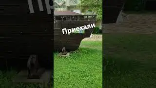 морееее😁