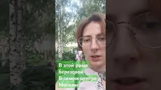 Роща в центре города