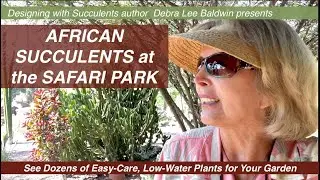 African Succulents at the Safari Park: See Dozens of Easy-Care, Low-Water Plants for Your Garden