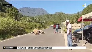 Salazie: le Cirque tente de survivre à la crise sociale