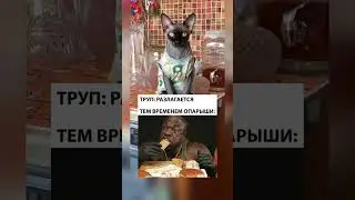 Опарыши