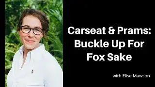 Carseat Safety 101 and Choosing Your First Pram Basics with Elise Mawson