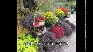 Fall Is Here