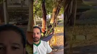 A música combinou 😂 