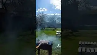 Трішки літа вам в ленту! На каву 4149 4996 5201 1667