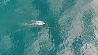 Türkiye 🇹🇷 - Roketsan's ATMACA Anti-Ship Missile