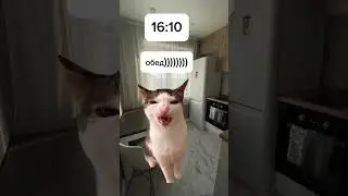 моё воскресенье:💥 