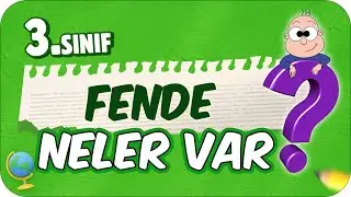 3. Sınıf Fende Neler Var? Fen Dersine Nasıl Çalışır❓