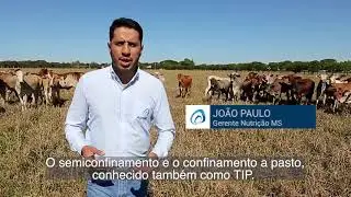 Nutrição na TIP (Terminação Intensiva à Pasto)