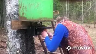 Принцип работы автоматической кормушки