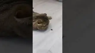 настоящий охотник