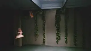Slow-Mo Bat Flight!