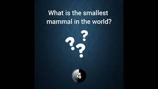 What is the smallest mammal in the world? #gkwithprima