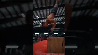 Worlds Deepest Handstand Push-up! (No Grip)