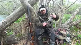 Закрытие охоты на селезня и на Вальдшнепа. Красивейший промах.