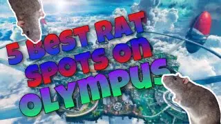 5 Rat Spots on Olympus