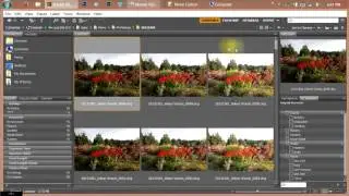 Part 1 - Organizing Your Photos Using Adobe Bridge