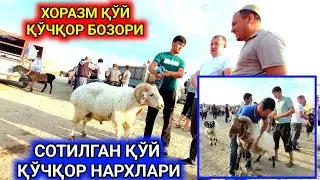 СОТИЛГАН ҚЎЙ ҚЎЧҚОРЛАР НАРХЛАРИ ХОРАЗМ ҚЎШКЎПИР  ҚУМ БОЗОРИ 29-июнь 2023 г.