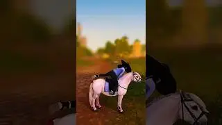 #starstable