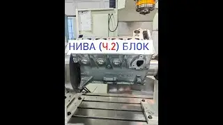 Нива Блок (Ч.2)