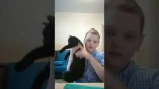 мой кот кузя😸 