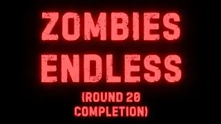 Call of Duty Zombies: Endless (Round 20 Completion with no deaths)