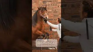 Dominica