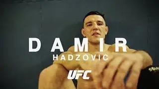 UFC CPH: Damir Hadzovic, hvorfor er han ikke på kortet?