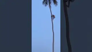 olha isso, teria coragem alguém ķkkk