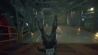 Star Citizen - Invisible wrestlers bug
