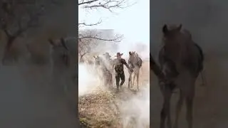 Kapadokya Atlar ile Çekim 