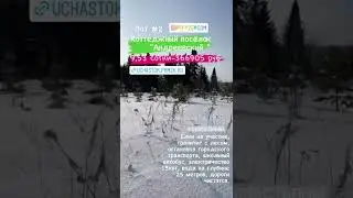 9 февраля 2022 г.