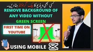 How to remove video background without green screen on Capcut app |change video background | Learnum