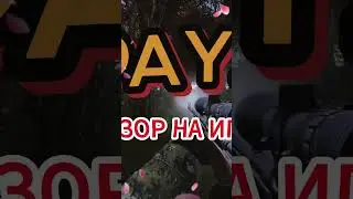 ОБЗОР НА ИГРУ DAYZ 