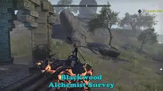 ESO Blackwood Alchemist Survey, Location, The Elder Scrolls Online